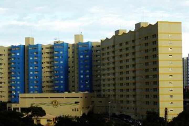 Flats H Master Golden