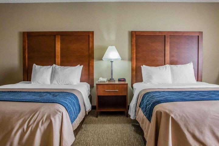 2 Queen Beds (1 of 28)