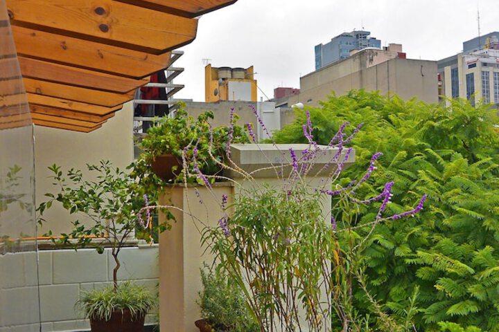Terrace/Patio 79 of 84