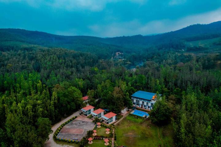 The Natures Nest Resort