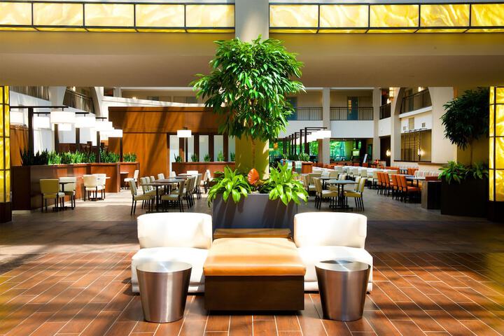 Guest Lobby
