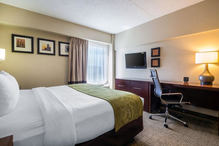 1 King Bed (7 of 10)