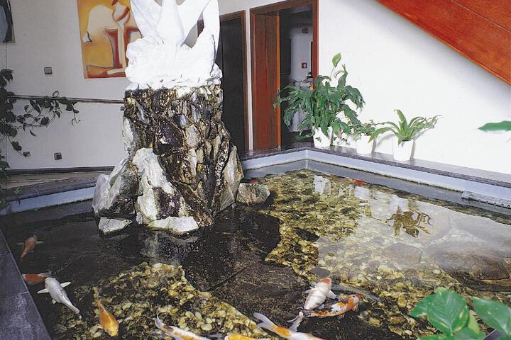 Spa and Wellness Pictures