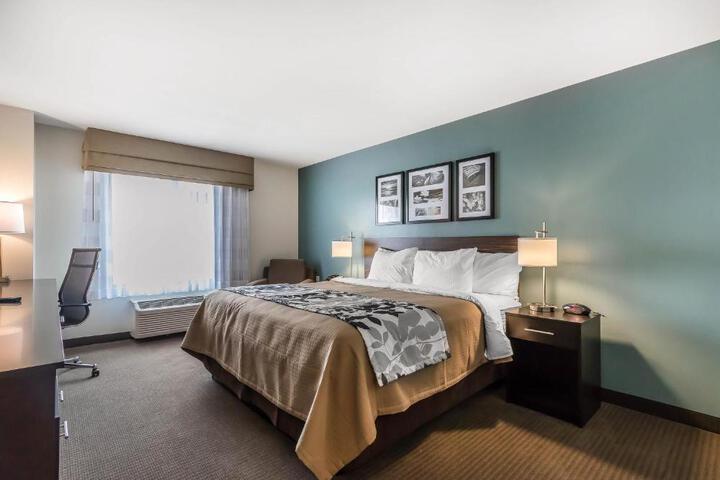 Standard | King Bed (8 of 18)
