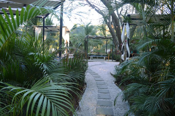 Property Grounds 60 of 70