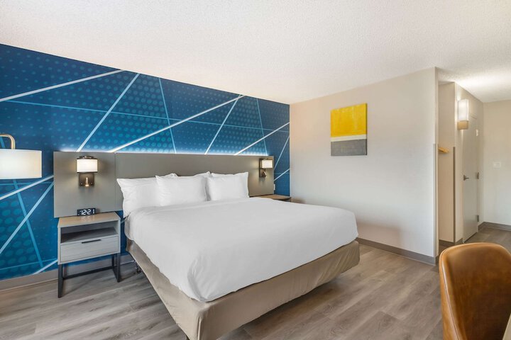 1 King Bed (6 of 15)