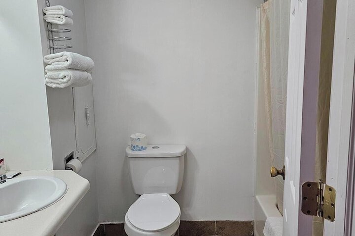 Premium Room 1 King Bed Jetted Tub (9 of 22)