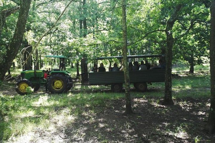 Property Grounds 59 of 73