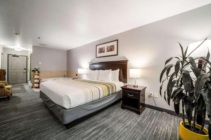 1 King Bed (41 of 47)