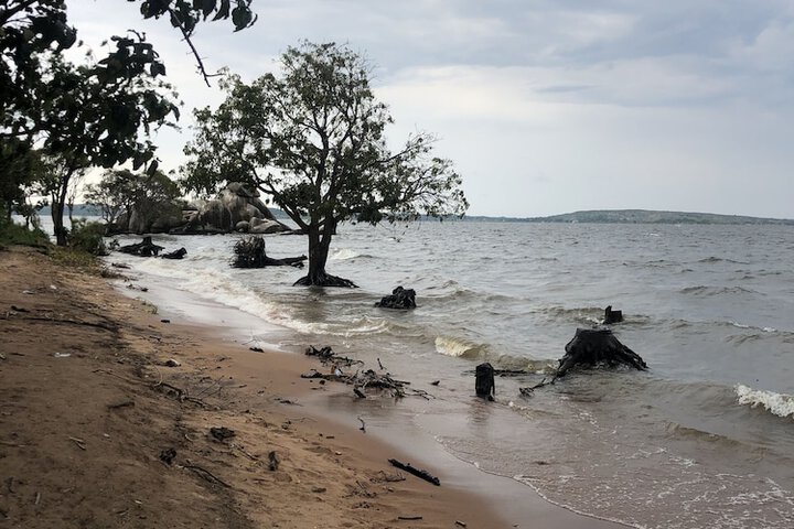 Beach 50 of 71