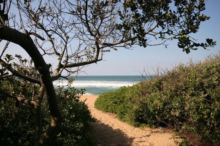 Beach 48 of 52
