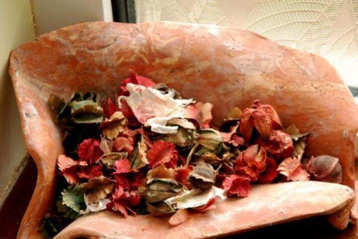 Spa and Wellness Pictures