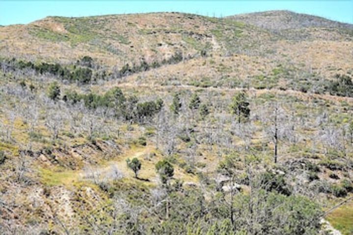 Property Grounds 10 of 18