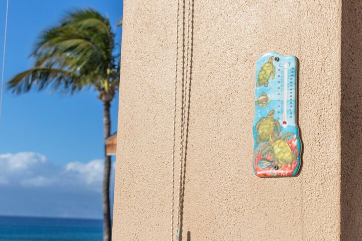 Nohonani #300 by RedAwning in Lahaina, HI