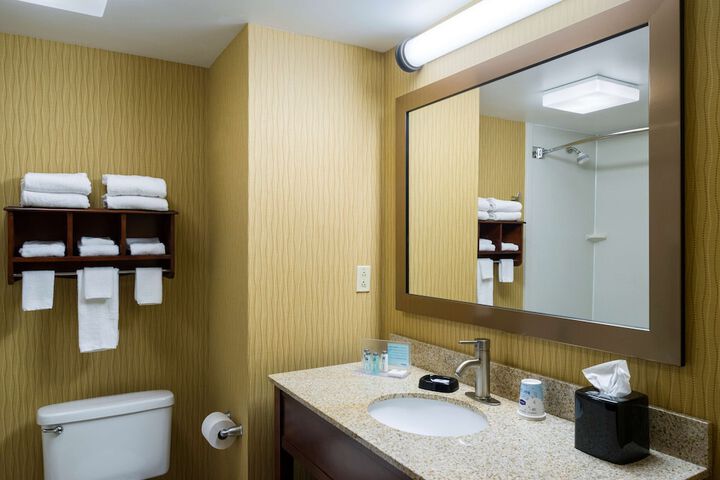 1 King with Refrigerator, Microwave (8 of 11)