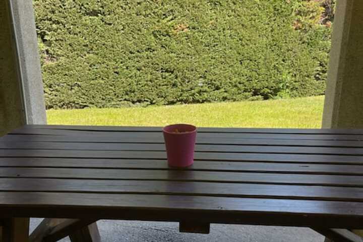 Terrace/Patio 28 of 48