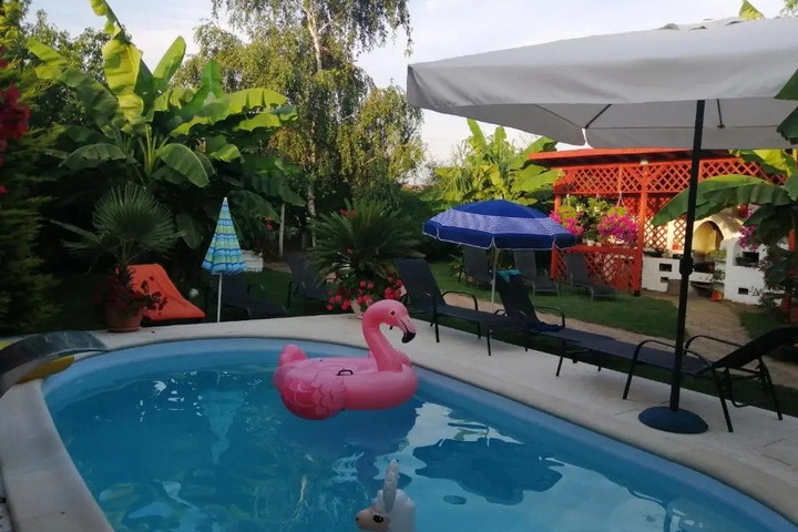 Pool 8 of 11