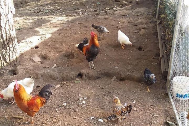 Childrens Activities 16 of 24