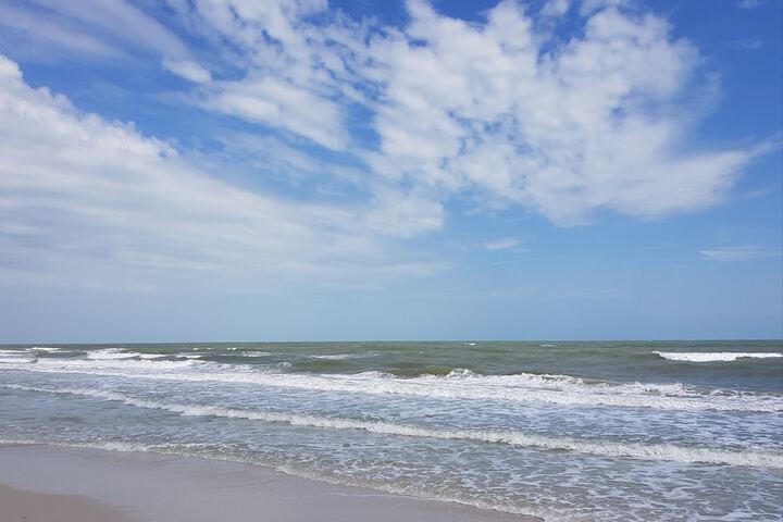 Beach 52 of 61