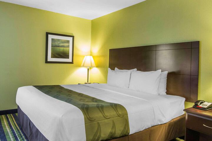 1 Queen Bed (9 of 10)