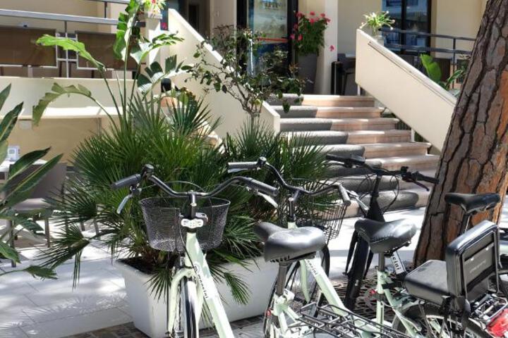 Ambra Hotel Cattolica