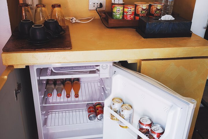Mini-refrigerator