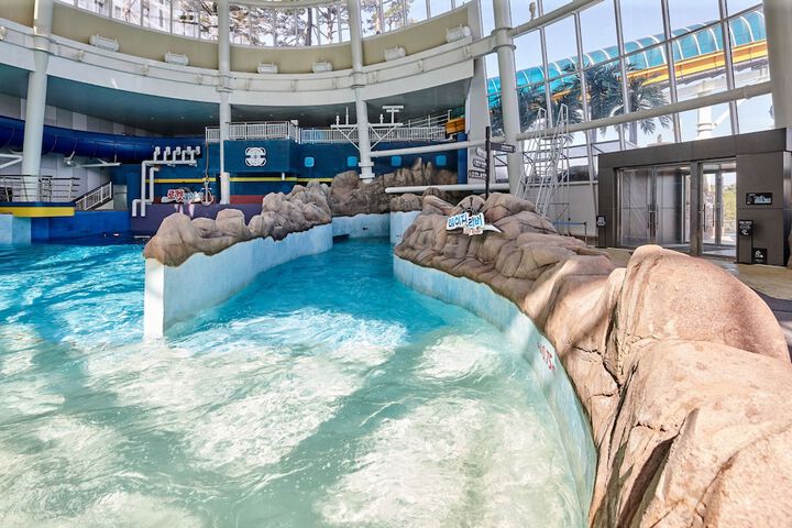 Pool 113 of 181