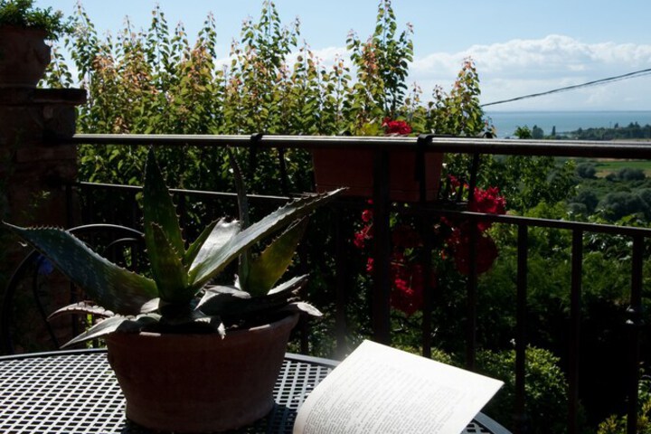 Terrace/Patio 19 of 37
