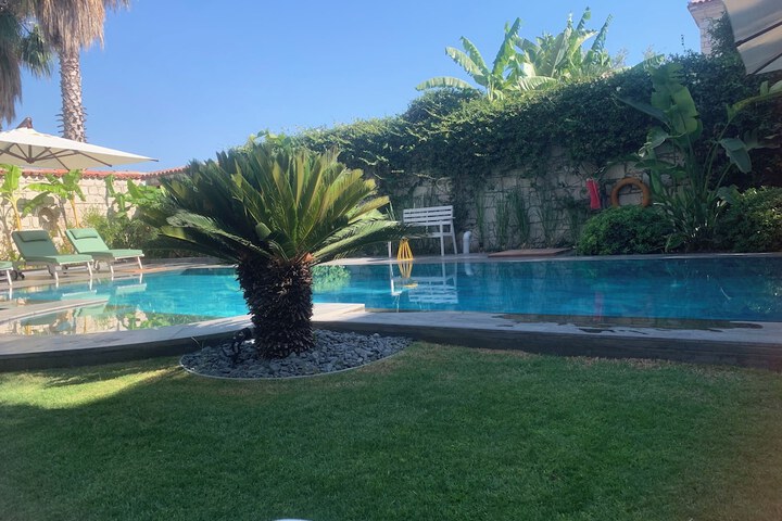 Pool 43 of 80