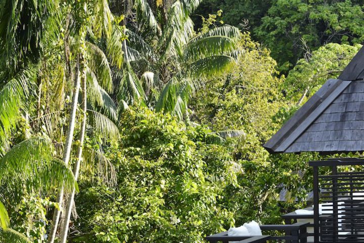 View from room