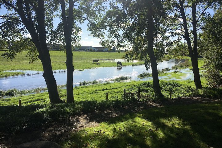 Property Grounds 38 of 40