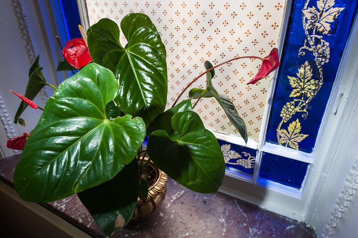 Hotel Interior 65 of 72
