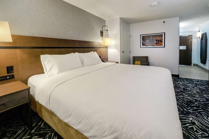 1 King Bed Hearing Accessible (4 of 19)