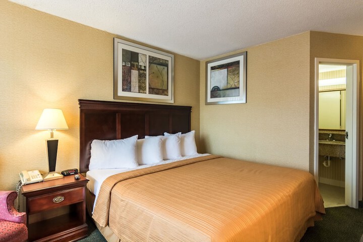 1 King Bed (2 of 10)