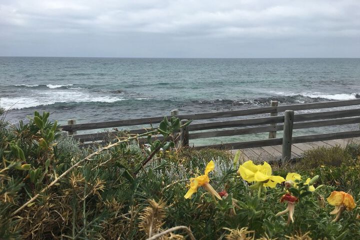 Beach 19 of 36