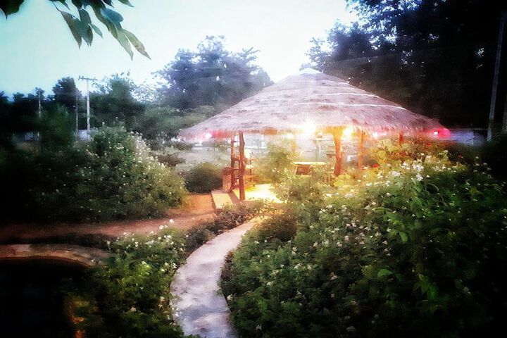Property Grounds 9 of 11