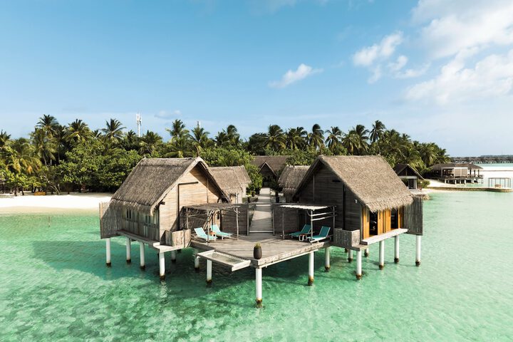 Wellness Treatments