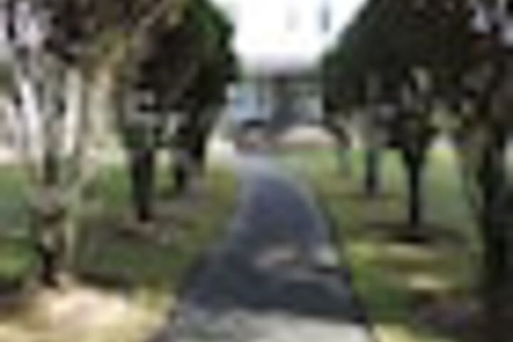 Property Grounds 227 of 246