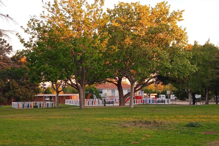 Children's area