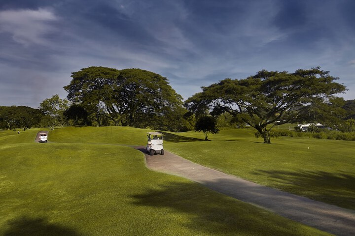 Golf 27 of 51