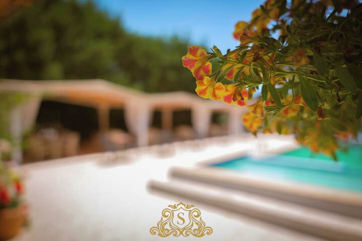 Pool 66 of 129