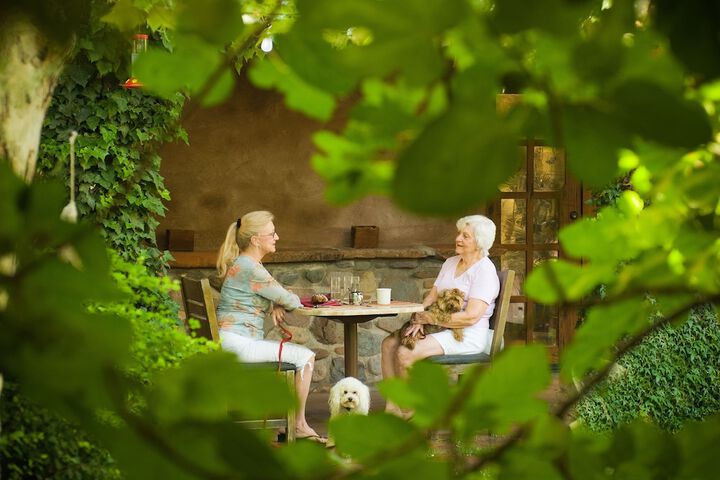 Pet-friendly