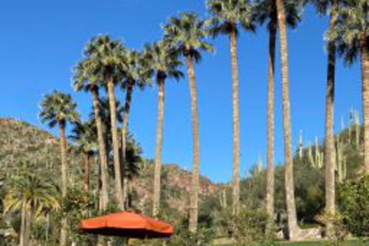 Image of Castle Hot Springs