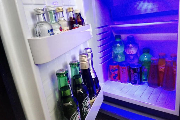 Mini-refrigerator