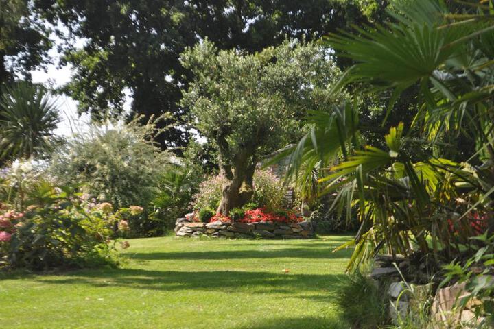 Photo 20