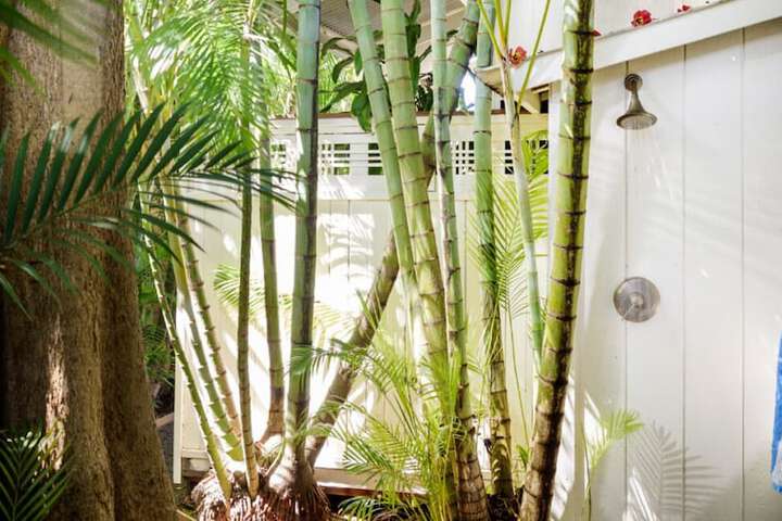 Terrace/Patio 47 of 75