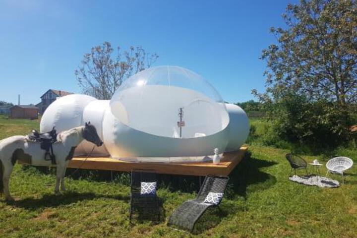 General 27 of 33