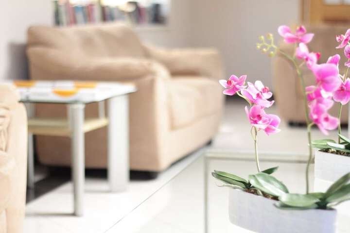 Entrance & Lobby