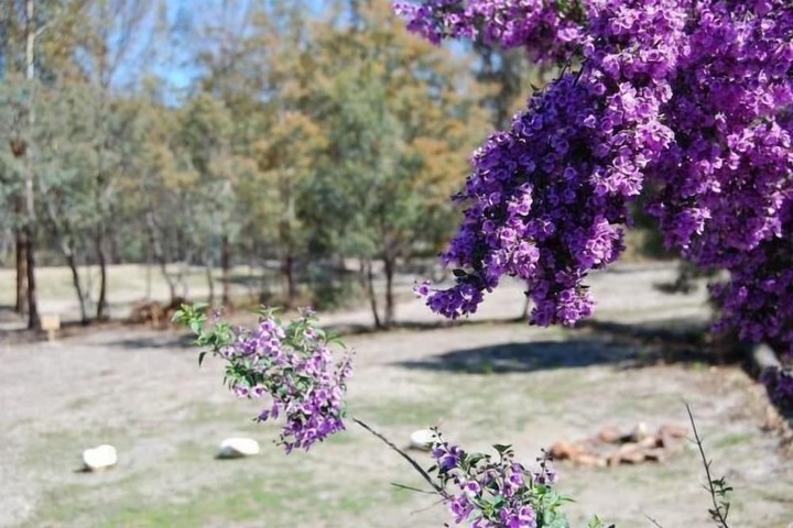Property Grounds 9 of 20