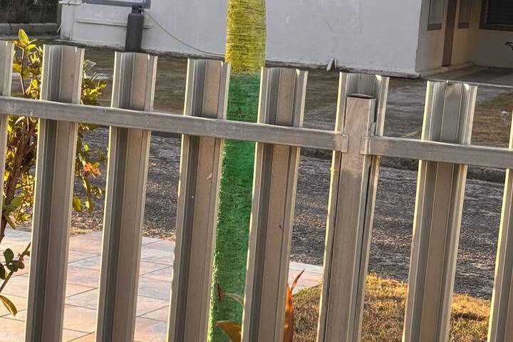 Terrace/Patio 38 of 82